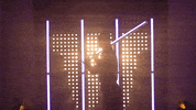 Washington Huskies Softball GIF by NCAA Championships