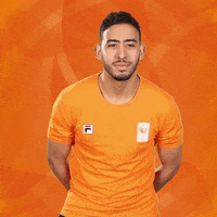 TeamNL blij juichen teamnl nocnsf GIF