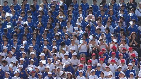 Japan Fan GIF by Rugby World Cup