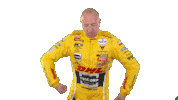 tom coronel celebration Sticker by FIA WTCR