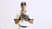 Ncaa Baseball Celebration GIF by Purdue Fort Wayne Athletics