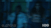 Amusement Park Fun GIF by euphoria