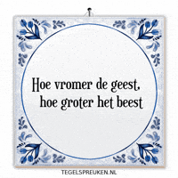 Nl Vroom GIF by Tegelspreuken.nl