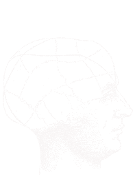 Mushroom Sticker by MUD\WTR