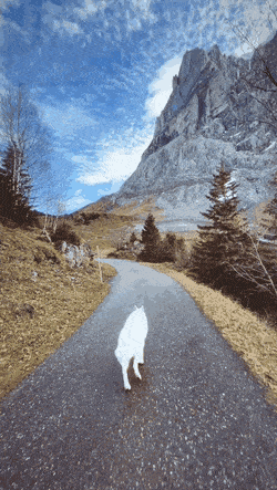 ehdgus1211 giphyupload GIF