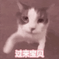 Mikachu GIF