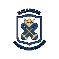 Dsf Sticker by Dalapower