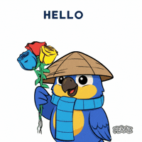 Hi Hi Hello GIF by Feraz NFT