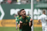celebrate major league soccer GIF by Timbers