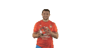 MHCCSKA handball cska cskahandball mhccska Sticker