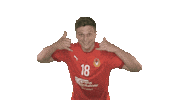MHCCSKA cskahandball mhccska gorpishin gorpishinhandball Sticker