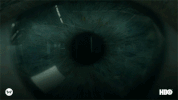 GIF by Westworld HBO