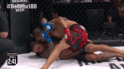 GIF by Bellator
