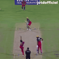 Virat Kohli GIF