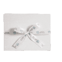 Caixa Bem Casado Sticker by Conceição Bem Casados