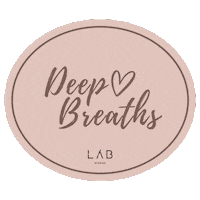 Labsg Sticker by Lab Studios