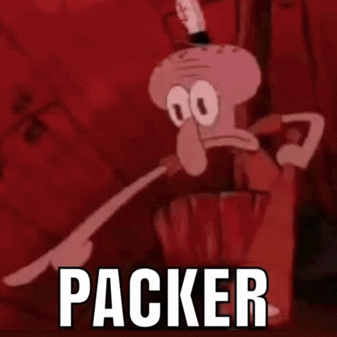 Green Bay Packers GIF