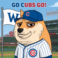 Shiba Inu Win GIF by Doge Pound