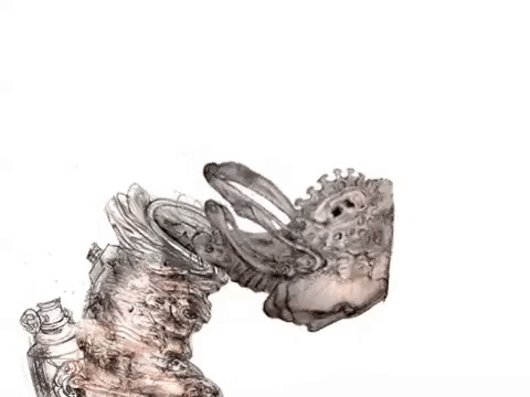 animation studio GIF by Alex Boya