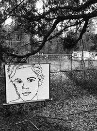 matthias brown GIF by TraceLoops