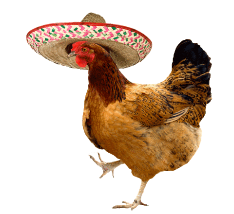 Chicken Hat Sticker