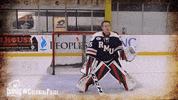 happy ice hockey GIF by Robert Morris University Athletics