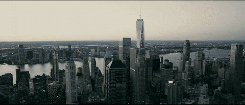 College Running GIF by Pace University