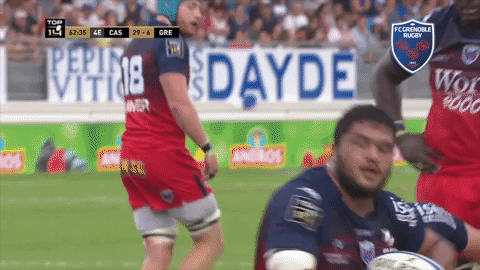 fc grenoble ball GIF by FCG Rugby