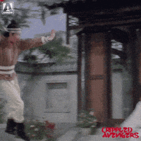 Martial Arts Fighting GIF by Arrow Video
