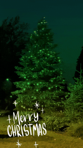Merry Christmas Feliz GIF