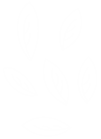 Doodle Decor Sticker by scholzydesign