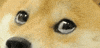 sad grief GIF