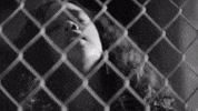 Couldve Been GIF by H.E.R.