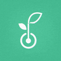 SemilleroDigital semillerodigital GIF
