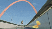 lines è¾å GIF by Carola Insolera