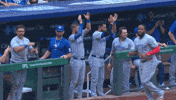 Blue Jays Applause GIF by Toronto Blue Jays