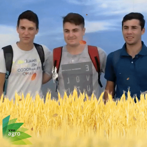 ypf agro GIF by 5SEIS