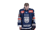 Celebration Goal Sticker by Fehervar AV19