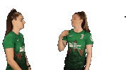 Celebrate Northern Ireland Sticker by Glentoran Women FC