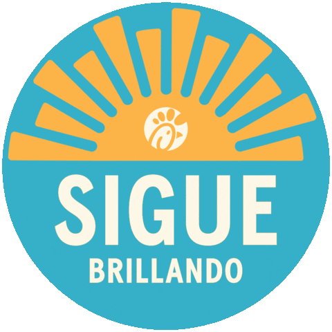 Sunshine Shine Bright Sticker by Chick-fil-A