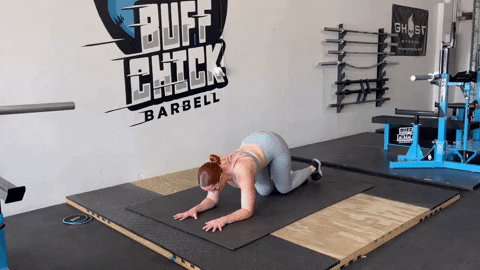megsquats giphyupload GIF