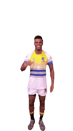 rugbybrasil giphyupload sport brasil rugby Sticker