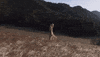 wind GIF by SoulPancake