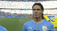 Costa Rica Soccer GIF by Fusion