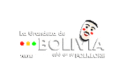Grandeza Bolivia Sticker by TECNO Mobile Bolivia