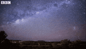 bbc two star GIF by BBC