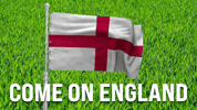 World Cup Football GIF by Vinnie Camilleri