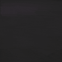 Voting Election 2020 GIF by INTO ACTION
