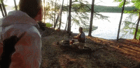 south carolina GIF