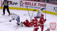 Ice Hockey Sport GIF by NHL